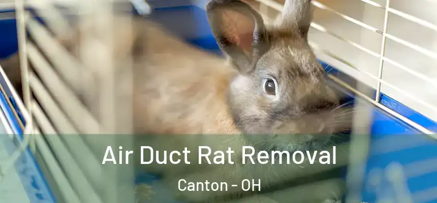  Air Duct Rat Removal Canton - OH