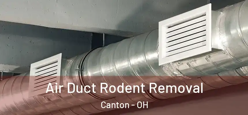  Air Duct Rodent Removal Canton - OH