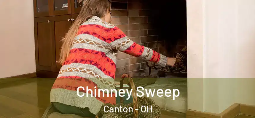  Chimney Sweep Canton - OH