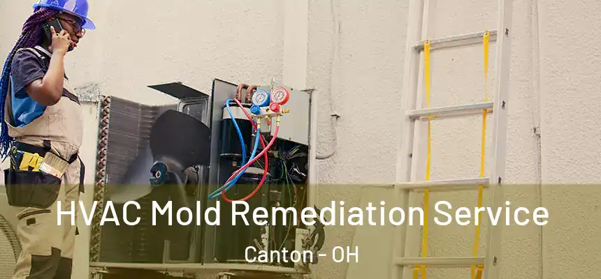  HVAC Mold Remediation Service Canton - OH