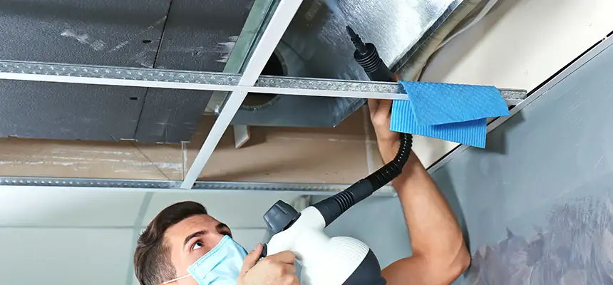 Our Air Duct Rodent Removal Services in Canton, OH