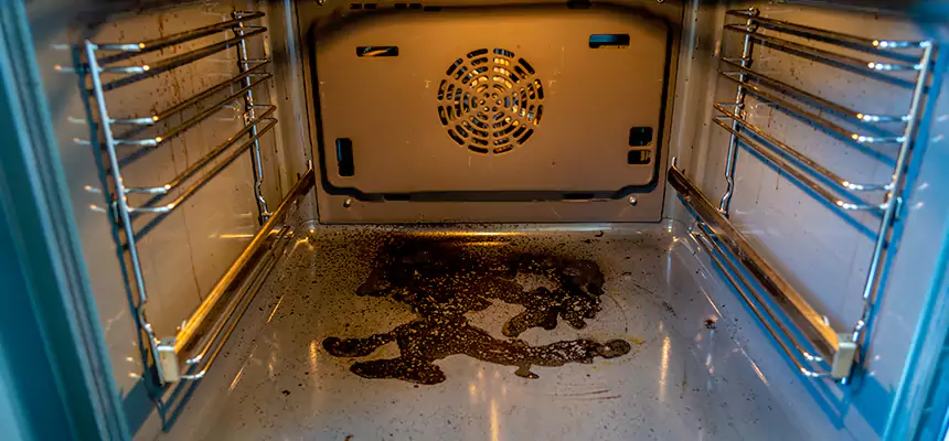 Our Dryer Vent Mold Cleaning Services in Canton, OH