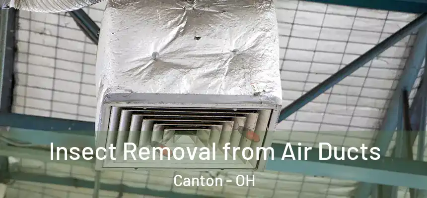 Insect Removal from Air Ducts Canton - OH