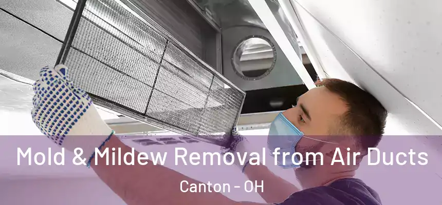 Mold & Mildew Removal from Air Ducts Canton - OH