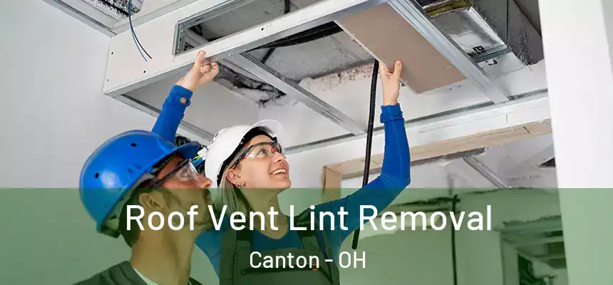  Roof Vent Lint Removal Canton - OH