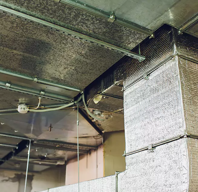 Why Homeowners & Businesses Trust Us in Canton, OH?